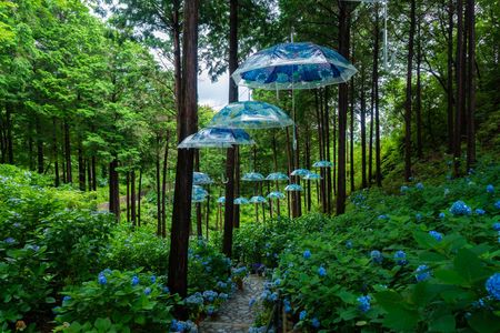 あじさい曼荼羅園