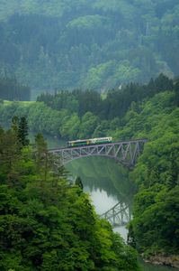 新緑の中を走る列車
