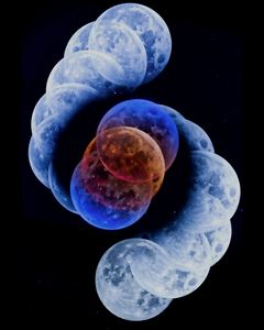 月に映った地球の影