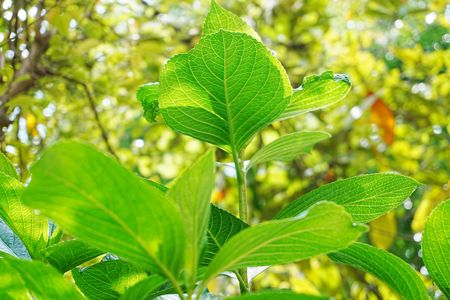 日曜日の昼下がり