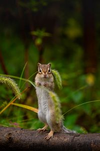 雨やんだかな？