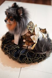 袴でおめかし〜