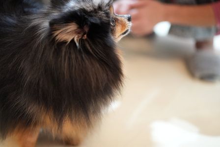 あの〜 何か忘れてないですか？？？