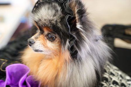 何を見てるのかな〜？