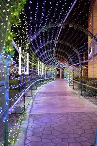 イルミネーションの季節？