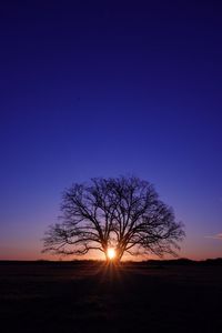 今日も新しい一日