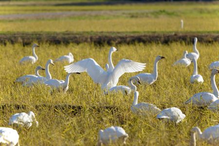 おかえり 〜長旅おつかれさま〜