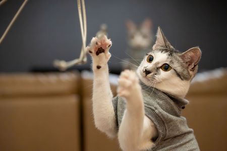 志村、後ろ！！