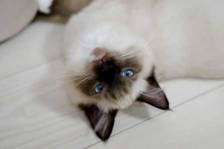 先にちゅ〜る浴びて来いよっ