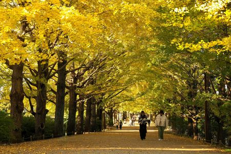 黄色のトンネル