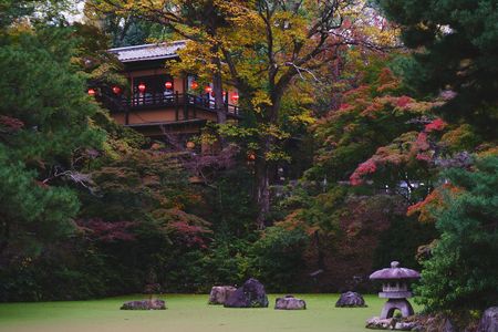 色づき始めた紅葉