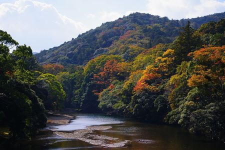 まだ、色づき始め