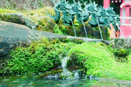龍神水　～九頭龍神社～