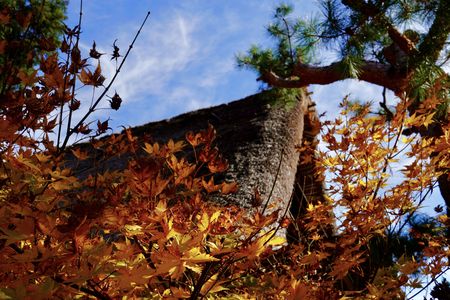 五箇山菅沼集落