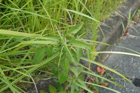 今日も暑いな～