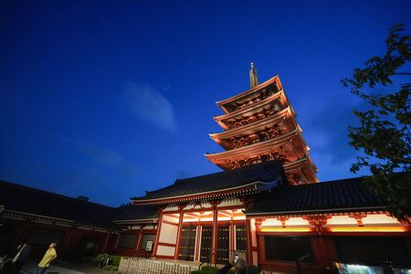 静寂と光の五重塔