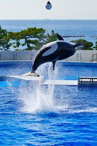 空気を割る轟音