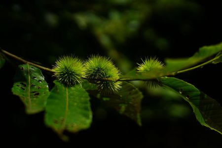 まだまだ準備中