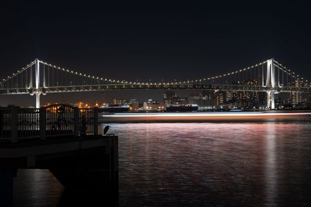 喧騒の街と静かなサギ紳士