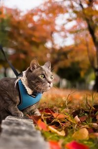 見据える先は？