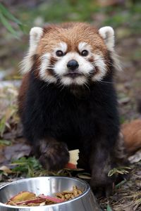 もぐもぐタイム