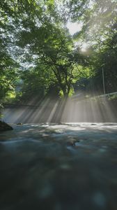 夏の円原川の光芒