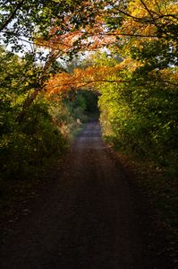 秋めいてきた島