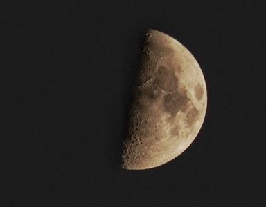 半月撮影チャレンジ