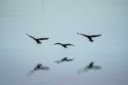 ジェットストリームアタック