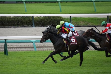 セントライト記念