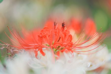 柔らかく包まれて…