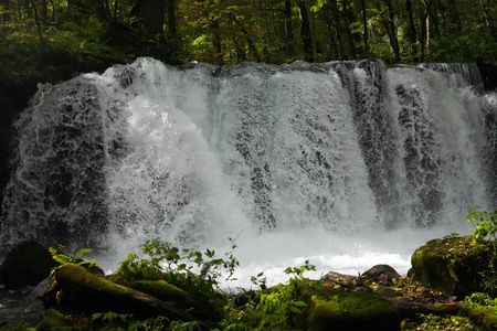 奥入瀬渓流 PART2