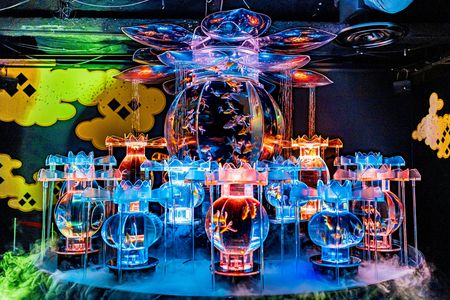 アートアクアリウム