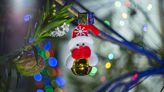 ふわふわキラキラサンタさん