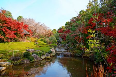 退蔵院余香苑の秋