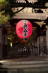 長谷寺(鎌倉)の紅葉ライトアップ