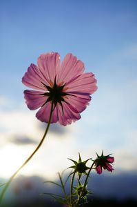 陽の光を浴びて
