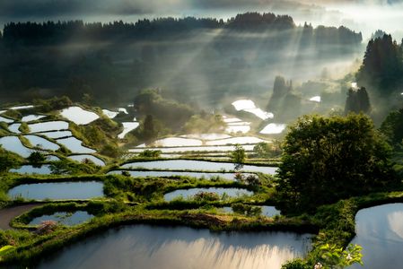 光彩の棚田