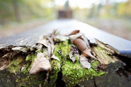 季節の変わり目