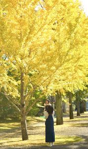 ちび子、銀杏と出会う