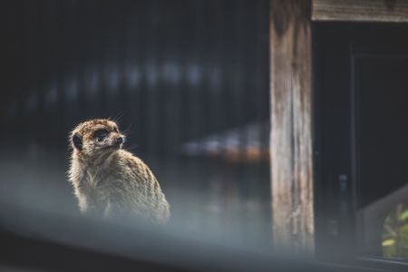 「ん？ いま何か動いた？」