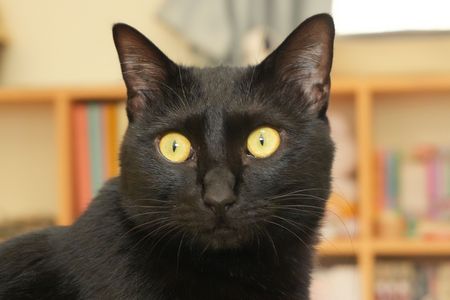 ちょっとびっくり