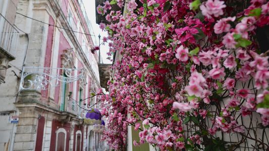 マルティナ・フランカのピンク