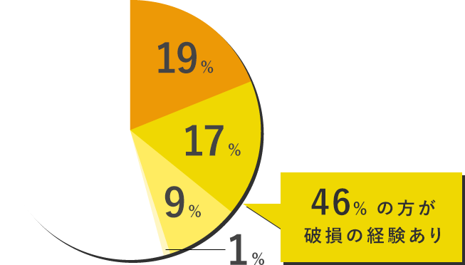 データの破損：19%、カード自体の破損：17%、カメラで認識しない：9%、その他：1%、経験なし：残り