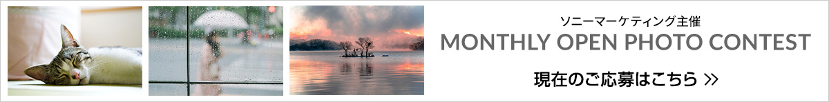 acafe αユーザーの写真ギャラリー&コミュニティーサイト