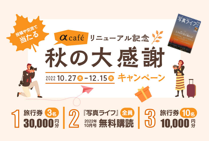 αcafeリニューアル記念 秋の大感謝キャンペーン