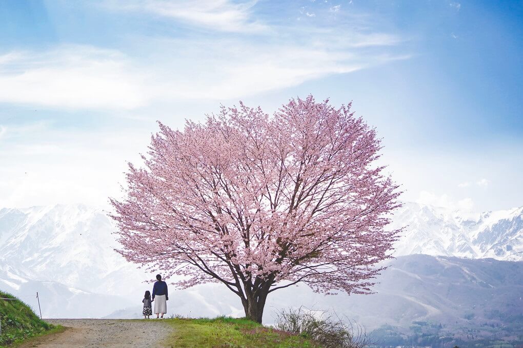『春の訪れ』こはるぱぱさん