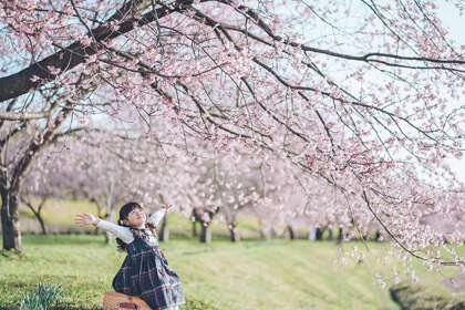 『桜ーーー！』sayaさん