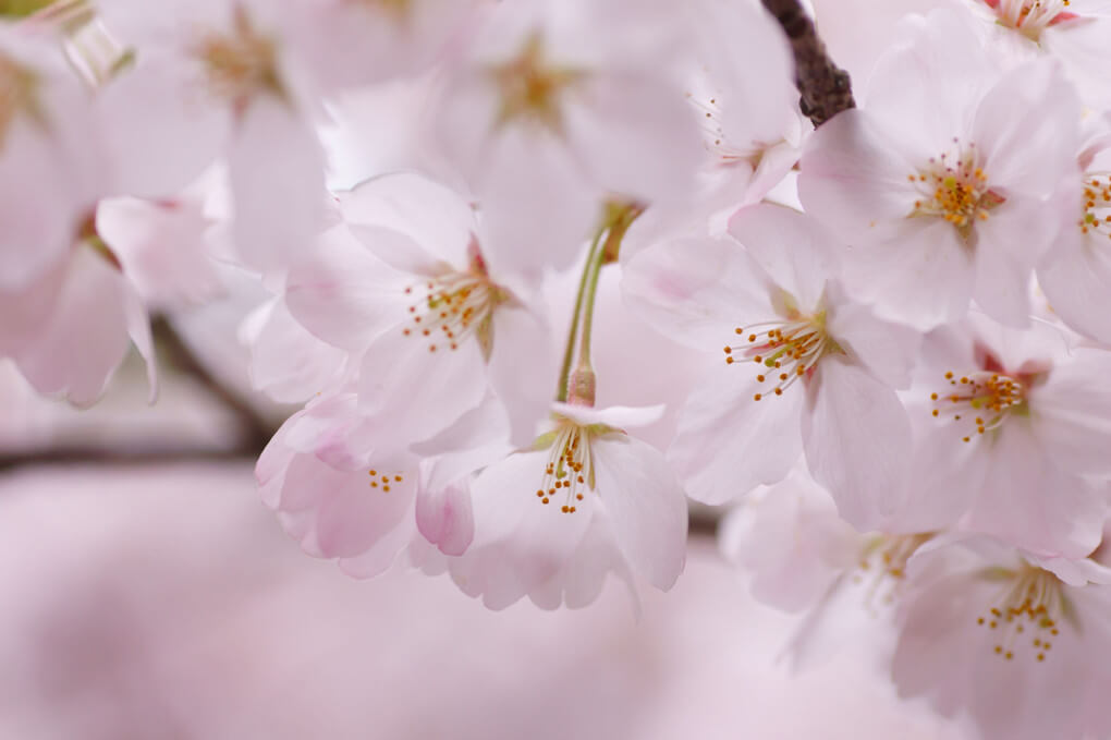 『光を透して』みなにくさん