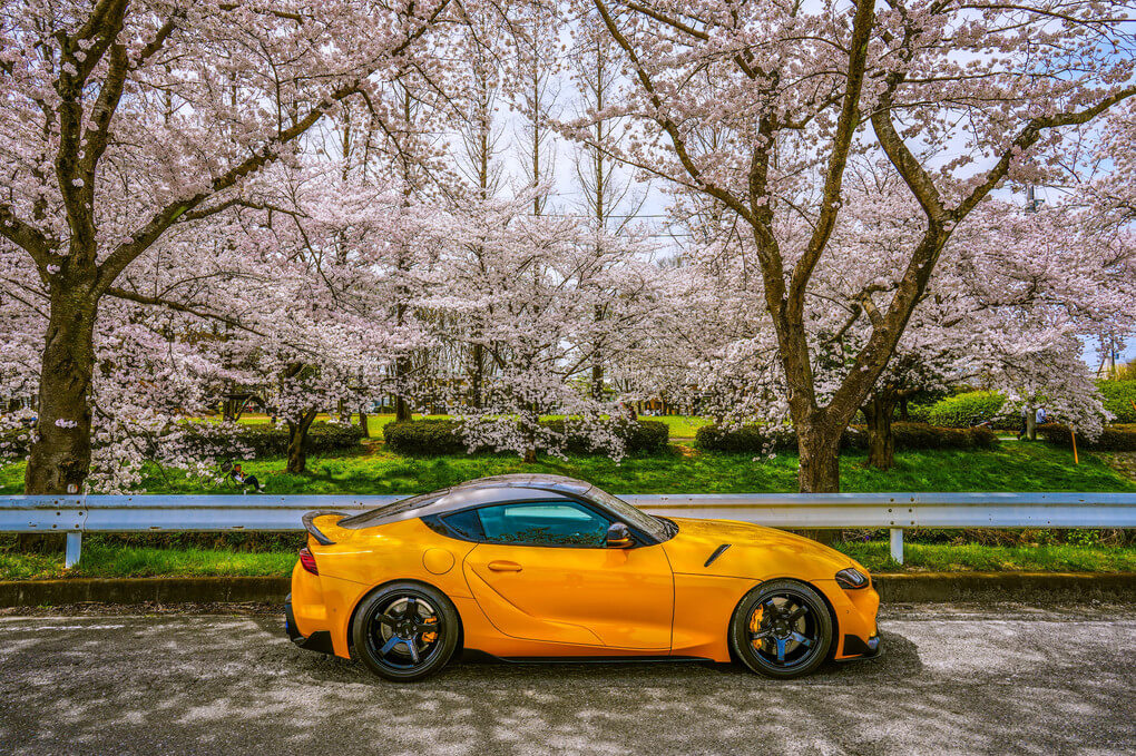 『愛車と桜』ダノさん